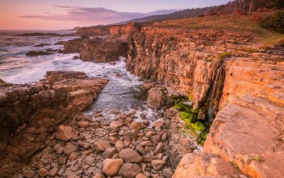 Governor Brown Issues Proclamation Declaring Earth Day