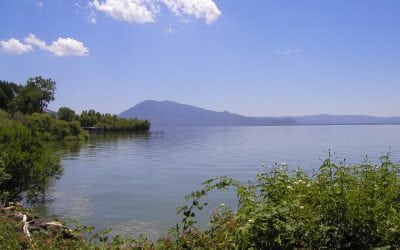 Governor Brown Declares State of Emergency in Lake County Due to Pawnee Fire